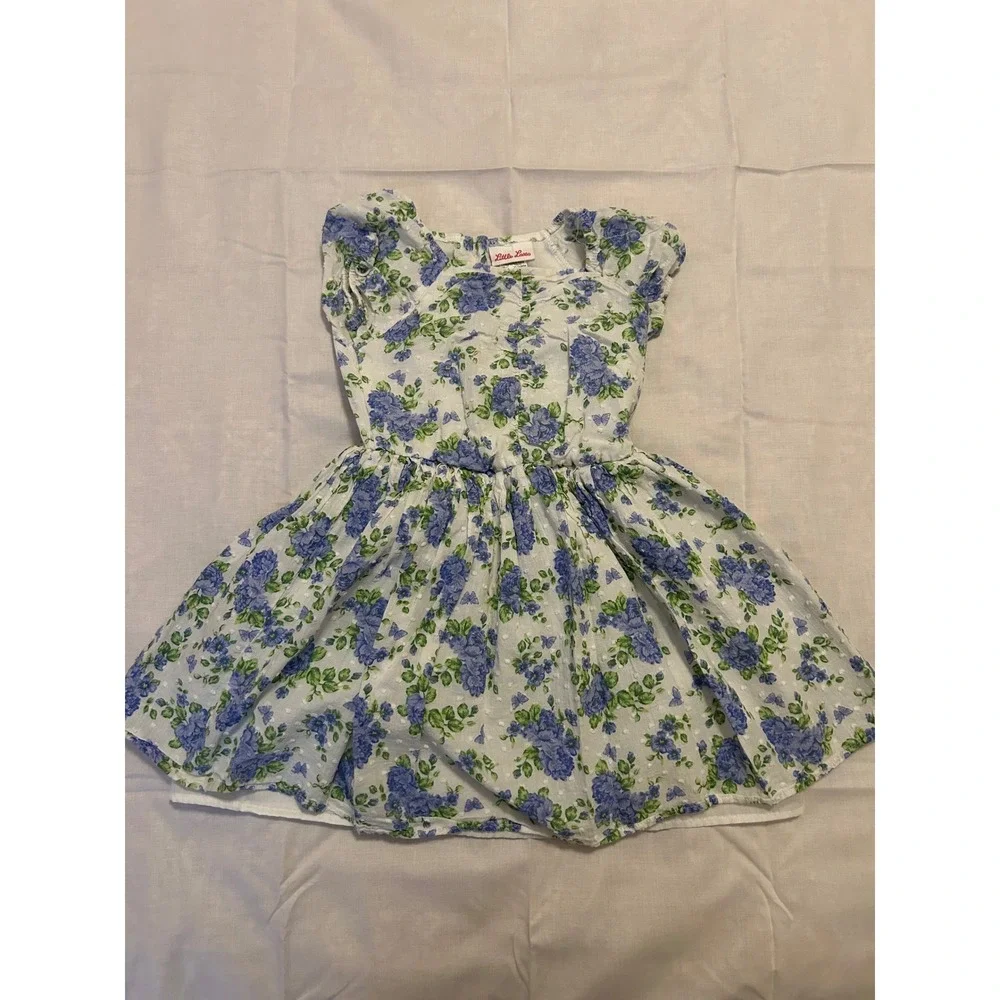 Little Lass Girls Floral Dress Size 6 Blue Green Rose Swiss Dot‎ Cottagecore